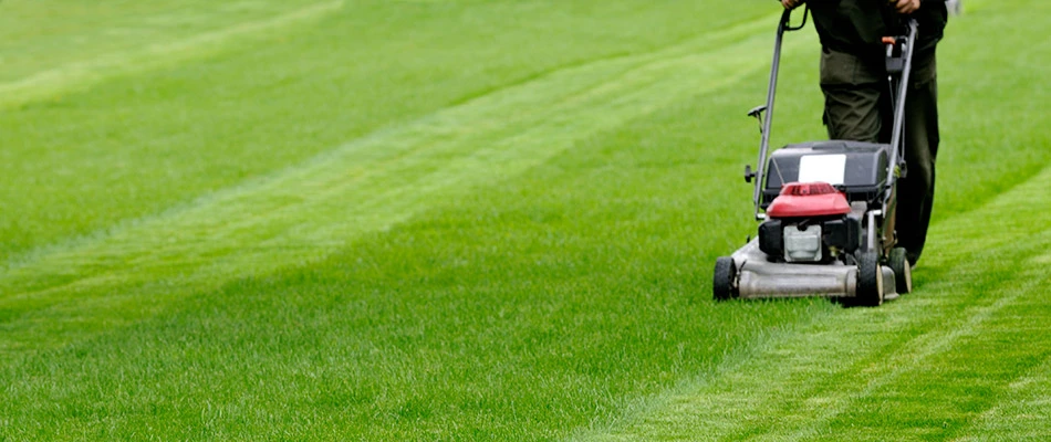 Top-Rated Lawn Care Eagan MN – Local Turf Experts